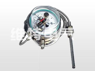 WTZ-288��ӵ��¶ȼ�