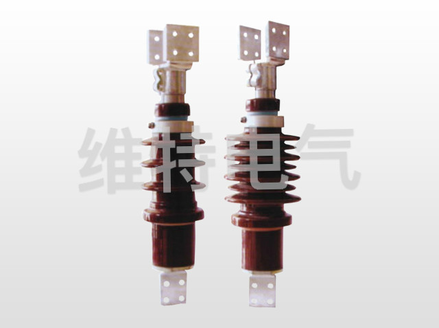 BD(W)-10KV~24KV/4000A~6000A��ѹ���׹�